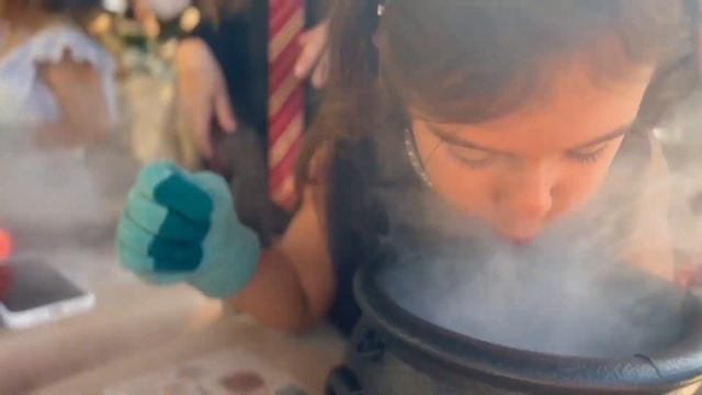 Harry Potter Party in Beaulieu-sur-Mer VLOG 2023 B/Day Party Kristina 7 смотреть онлайн