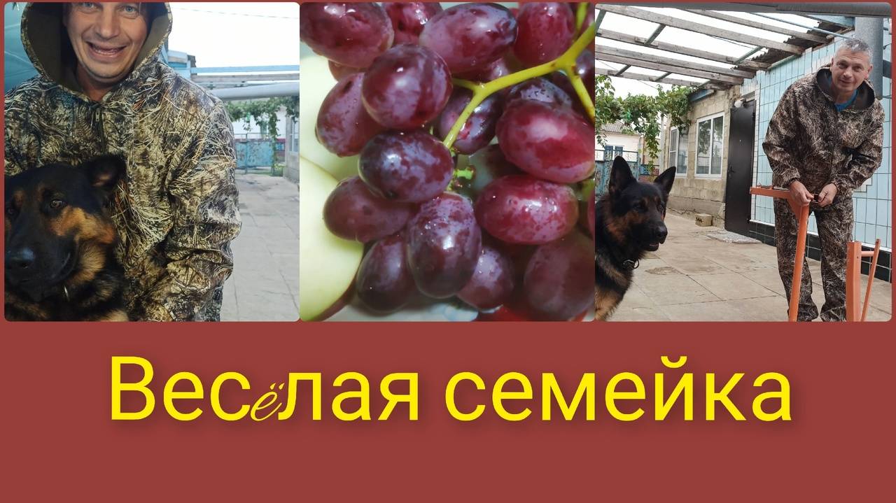 Лесные наши братья. В темпе вальса. Весëлая семейка. смотреть онлайн