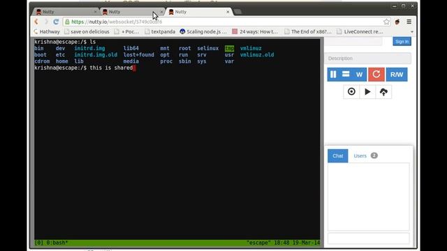 https://nutty.io - remote terminal sharing using browser смотреть онлайн