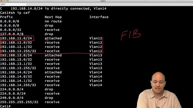 Cisco Express Forwarding смотреть онлайн