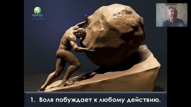 The Science Behind Immunity