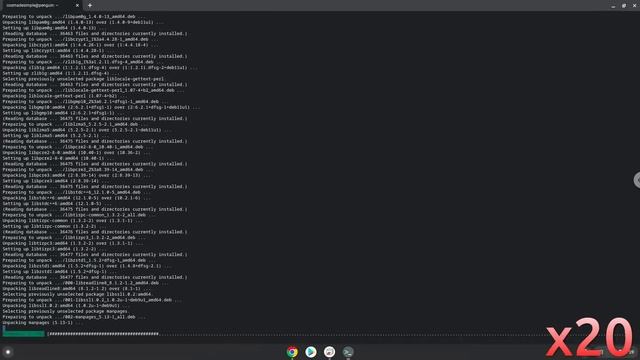 How to install RStudio and R 4.2.1 on a Chromebook смотреть онлайн