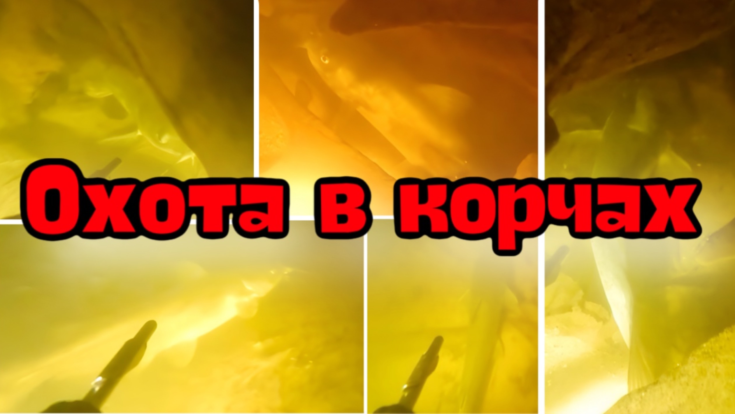 Целый день под водой за 3 минуты. Сделал больше 100 нырков.