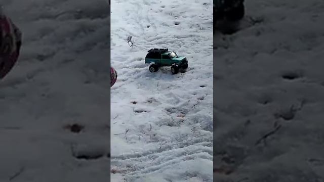 RC NIVA WOLF WPL