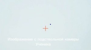 Вторая ошибка новичков в Спортинге и Охоте