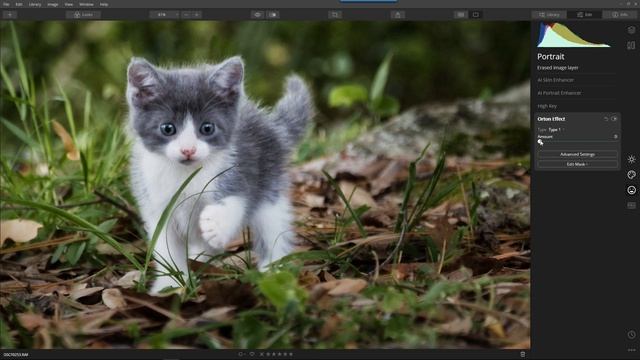 Luminar Coffee Break: Styling a super cute pet portrait смотреть онлайн