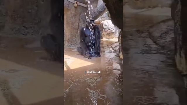 Подписывайся и готовься к порции безумия, которая взорвет твой день! 🚀 смотреть онлайн