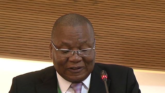 MAC Protocol Diplomatic Conference - Welcoming Remarks of the DIRCO Director General смотреть онлайн