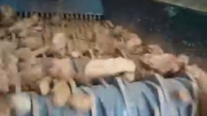 валковый грохот и скребковый питатель