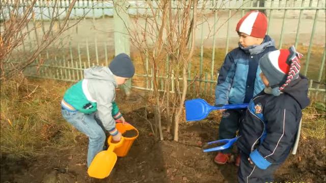 Чудеса в стране детства