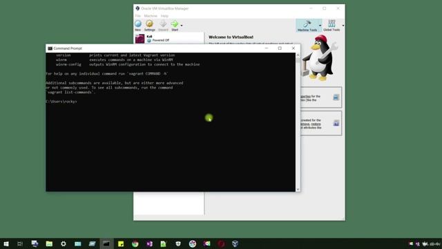 12 Installing Metasploitable 3 Vagrant and Plugins смотреть онлайн
