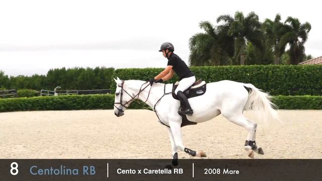 8 | Centolina RB | Cento x Caretella RB | 2008 Mare смотреть онлайн