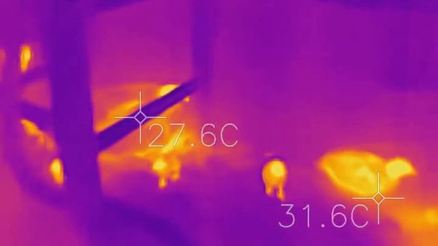 Flir One Pro смотреть онлайн