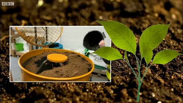 Lincoln woman fills up home with 200 house смотреть онлайн