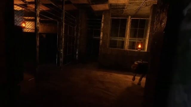 Killing the dogs on Metro Exodus 🐶 смотреть онлайн
