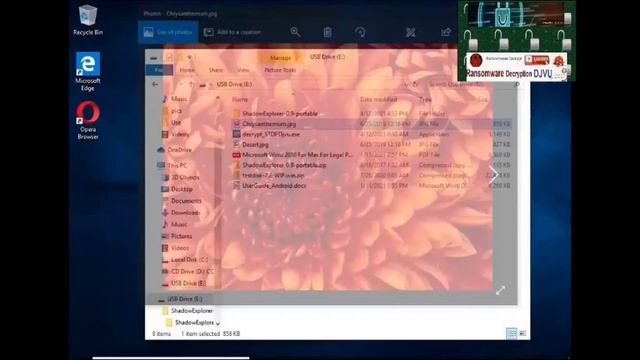 Ransomware Decryption Stop DJVU Virus Xcvf