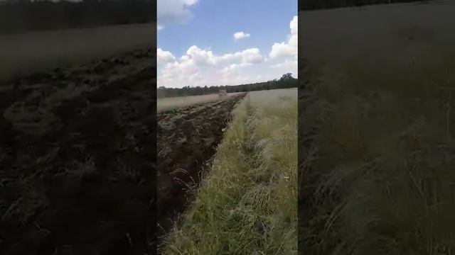 краз пашет целину смотреть онлайн