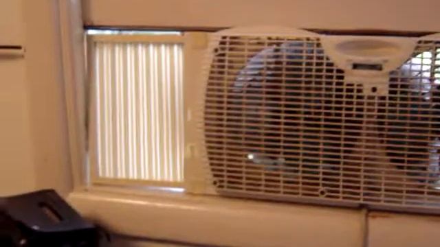 Would You Please Crawl In My Window смотреть онлайн