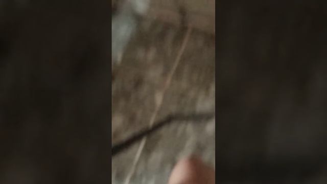 hii guys im sure i have windows laptop or maybe i play roblox username:emily192377 or u wont sub me смотреть онлайн