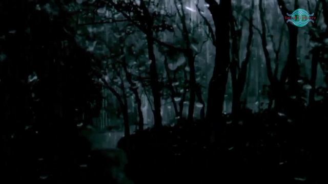 ⛈️ Night Rain with Thunder on Windows and Forest - Comfortable Sleeping Ambiance смотреть онлайн