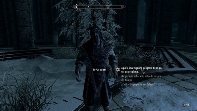 [TES V: Skyrim] 30 - Llegando a Hibernalia y visitando el Colegio - HD + Comentarios en español смотреть онлайн
