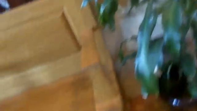 BLOOPERS Back Door Pass with Scott Phillips.mp4 смотреть онлайн