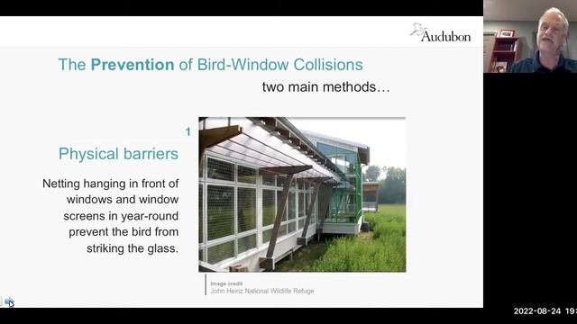 Bird - Window Collisions: What You Can Do To Help Save Birds смотреть онлайн