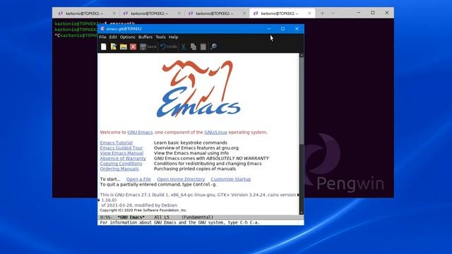 wsl app themes смотреть онлайн