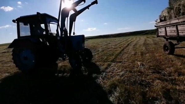 Заготовка сена на зиму.