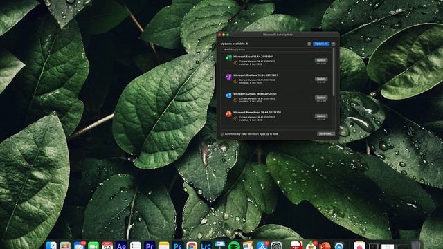 How To Delete Microsoft AutoUpdate From Mac