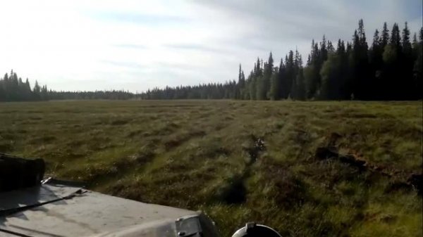 гтт на болоте