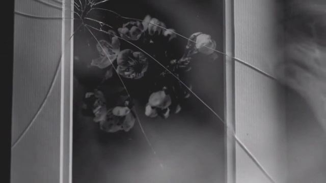 Broken window theory смотреть онлайн