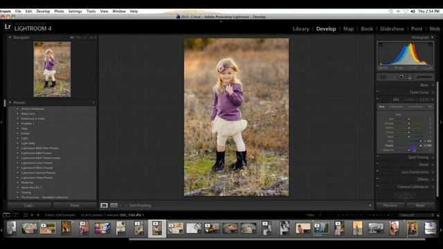 Editing an Image in Lightroom 4 & 5 with DSP смотреть онлайн