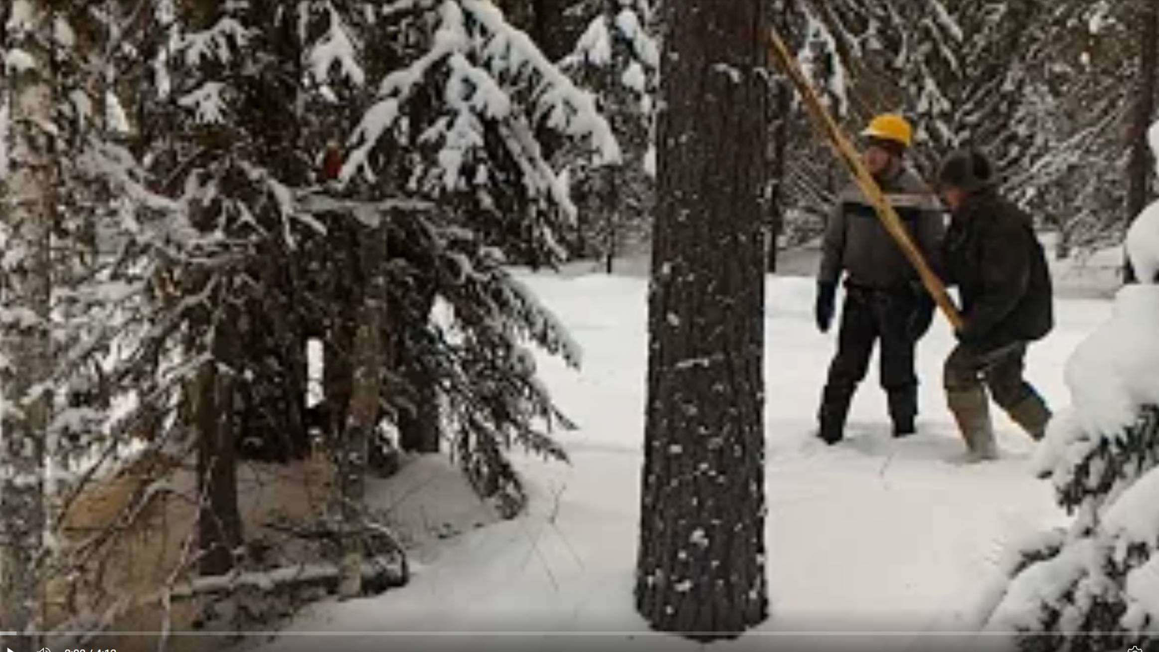 Работа бригад плотников на делянках. Валка и заготовка леса для рубки срубов домов и бань из бревна смотреть онлайн