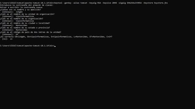 Certificado autofirmado EN TOMCAT con keytool en 3 pasos (Windows) смотреть онлайн