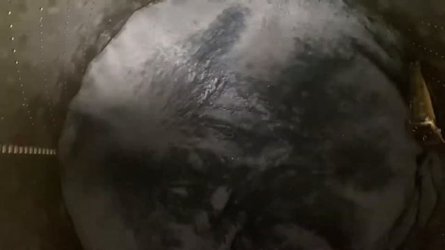 How to Destroy a Watch! My Pure Dial Gets Roasted смотреть онлайн