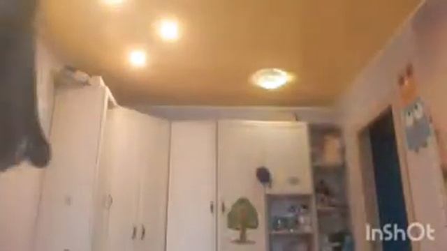 Перестановка на рабочем столе!😮😯 смотреть онлайн