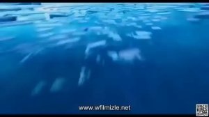 Çılgın Hırsız 2 türkçe dublaj tek parça full izle   Çizgi Film İzle