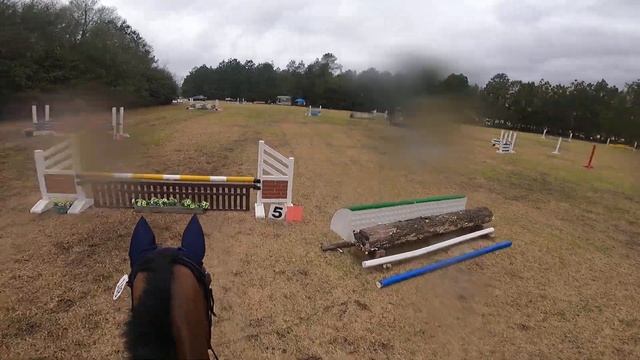 Anna & Whisp show jumping Apple Tree Farm 3/2/2023 смотреть онлайн