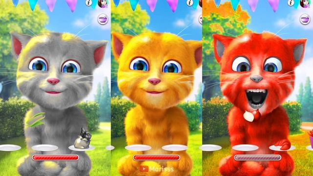 Talking Ginger eat color 🌈🍎🍇🍍🍒🍌 смотреть онлайн