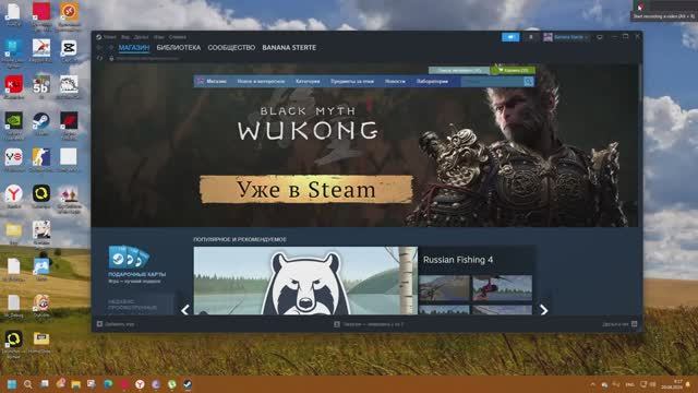 Steam BIOS Corruptions #1