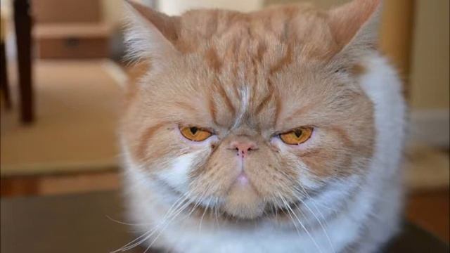 windows cannot find windows смотреть онлайн