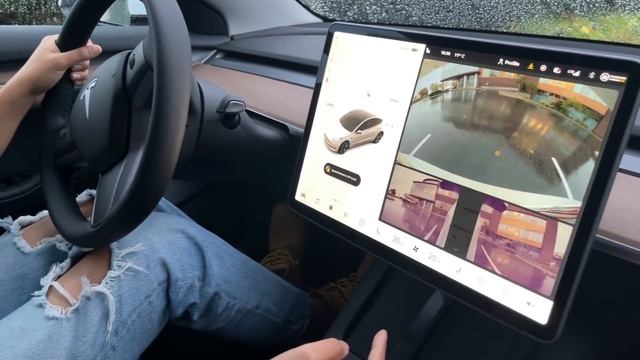 Land Rover to gayi, ab Tesla ki baari??? | Things we didn't know before driving Tesla смотреть онлайн