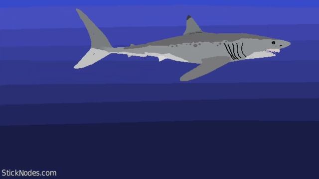 Mako shark vs tiger shark смотреть онлайн