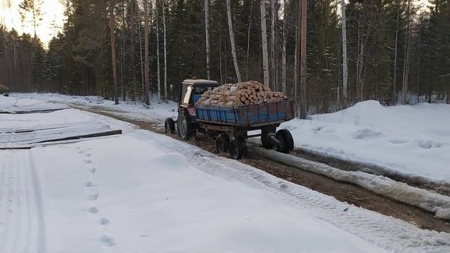 Лесозаготовка 2020 смотреть онлайн