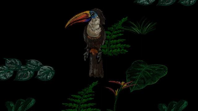 Windows 98 - Jungle screen saver смотреть онлайн