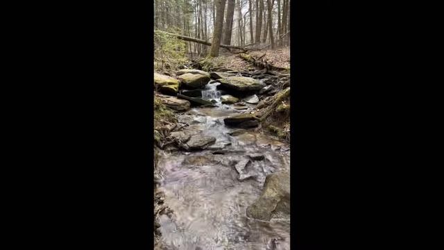 Last backpacking trip of winter ❄️ Snow, rain, sun, FUN! смотреть онлайн