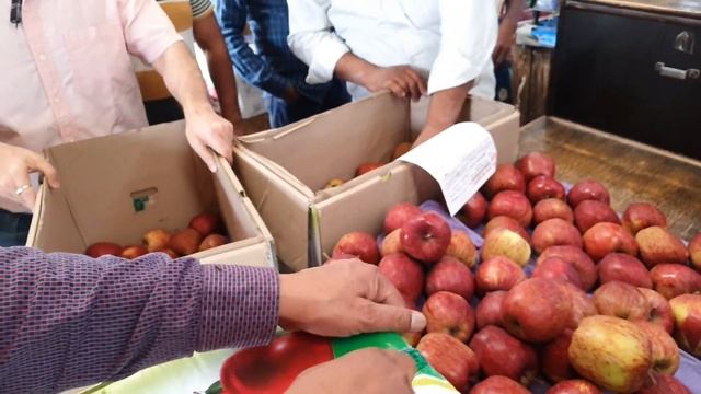 28 March 2023 दिल्ली शिमला किन्नौर सेब के भाव सेब मंडी मे Delhi APMC Himachal Apple Market Price смотреть онлайн