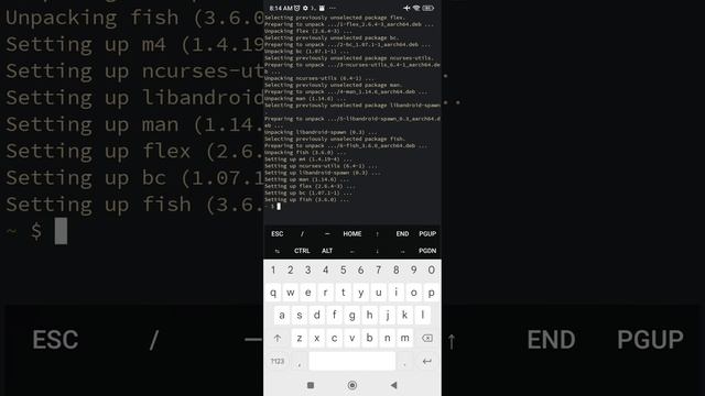 Install Screenfetch, ZSH, FISH in termux on an android phone смотреть онлайн