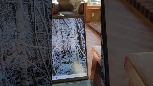 Dell Trackpad problem. Longer video смотреть онлайн
